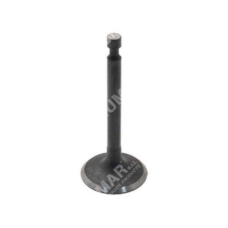 Intake and exhaust valve kit for PROGREEN engines - 046663