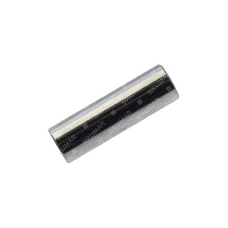Kolbenbolzendurchmesser 10 mm für PROGREEN Motorhacken - 054639