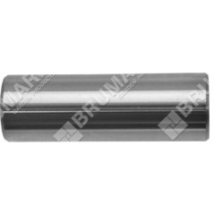 Piston pin diameter 18 mm for PROGREEN brushcutters - 046661 | NewgardenParts.com