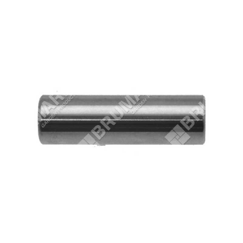 Piston pin diameter 10 mm for PROGREEN brushcutters - 030773