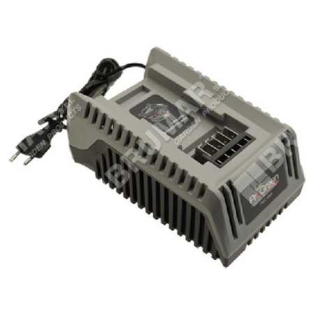 PGC4002 40V 80W Akkuladegerät für PROGREEN PGL460SLI 048697 Akku-Rasenmäher
