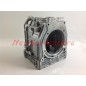 LOMBARDINI 6LD360 Motorträger 2 Version 6LD400 1510.171 FIN871KK