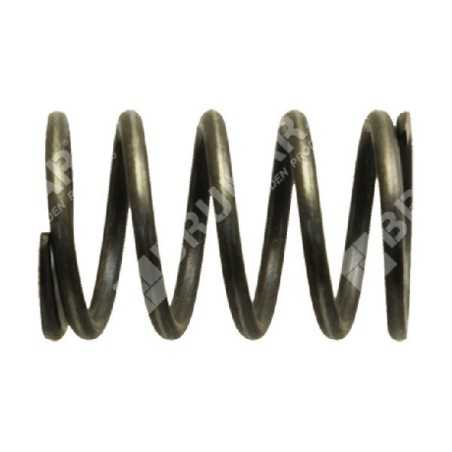 Valve spring for GREEN LINE brushcutters - 022994 | NewgardenParts.com