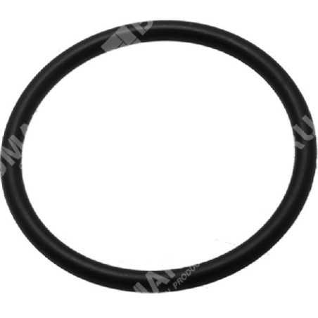 Oil sensor gasket ring for MAORI motor generators - 029490 | NewgardenParts.com