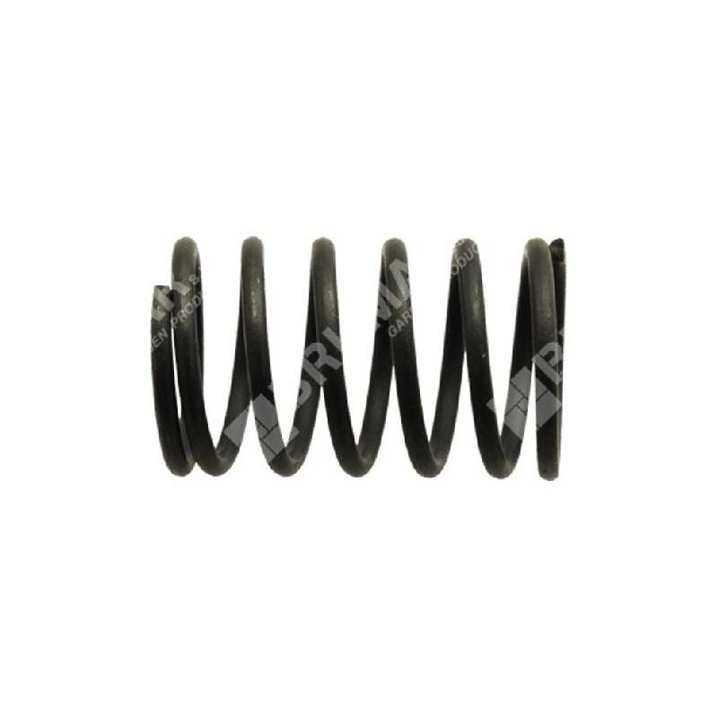 Ventilfeder für DAYE-Motoren - DAYEE - 037991
