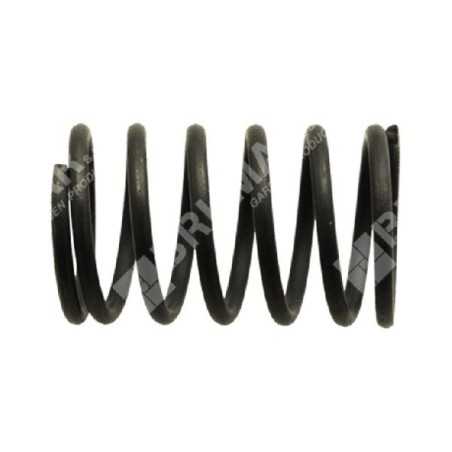 Ressort de soupape pour moteurs DAYE - DAYEE - 037991 | NewgardenParts.com