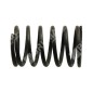 Ventilfeder für DAYE-Motoren - DAYEE - 037991