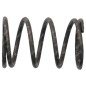 Valve spring for HARRY aerators - 058612