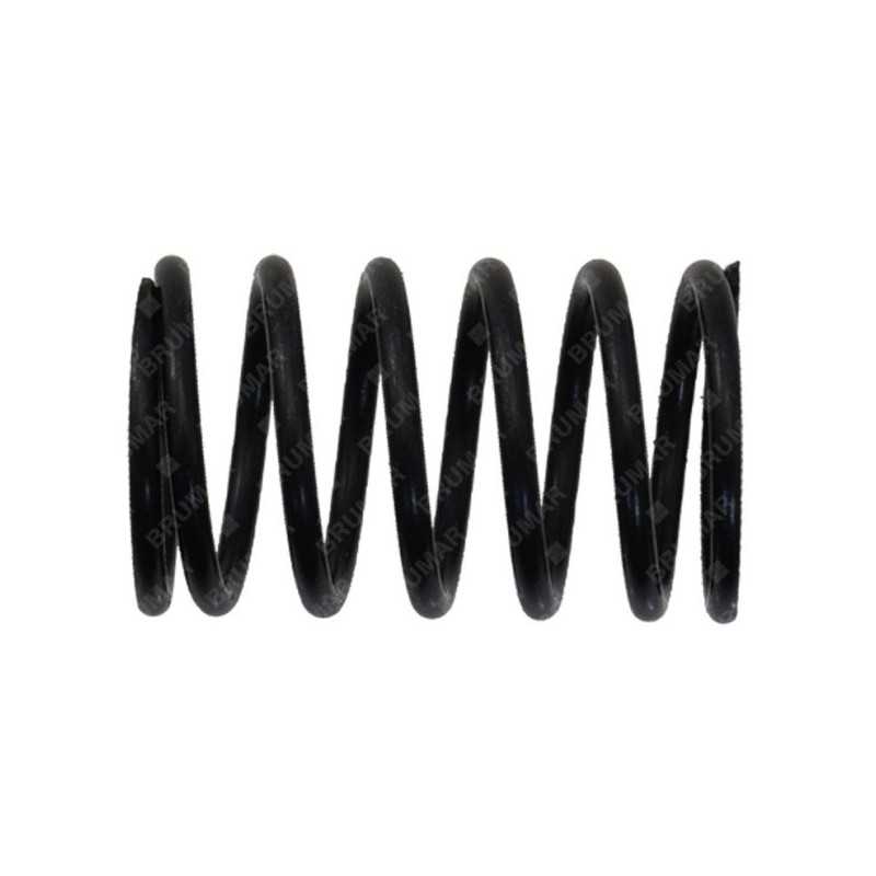 Ventilfeder für BLX Rasenmäher – 058329