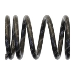 Resorte de válvula para motogeneradores DUCAR - 056623 | NewgardenParts.com