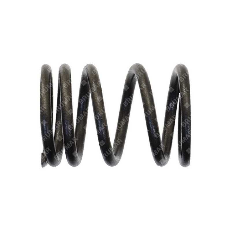 Resorte de válvula para motogeneradores DUCAR - 056623
