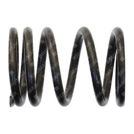 Valve spring for DUCAR motor generators - 056623 | NewgardenParts.com