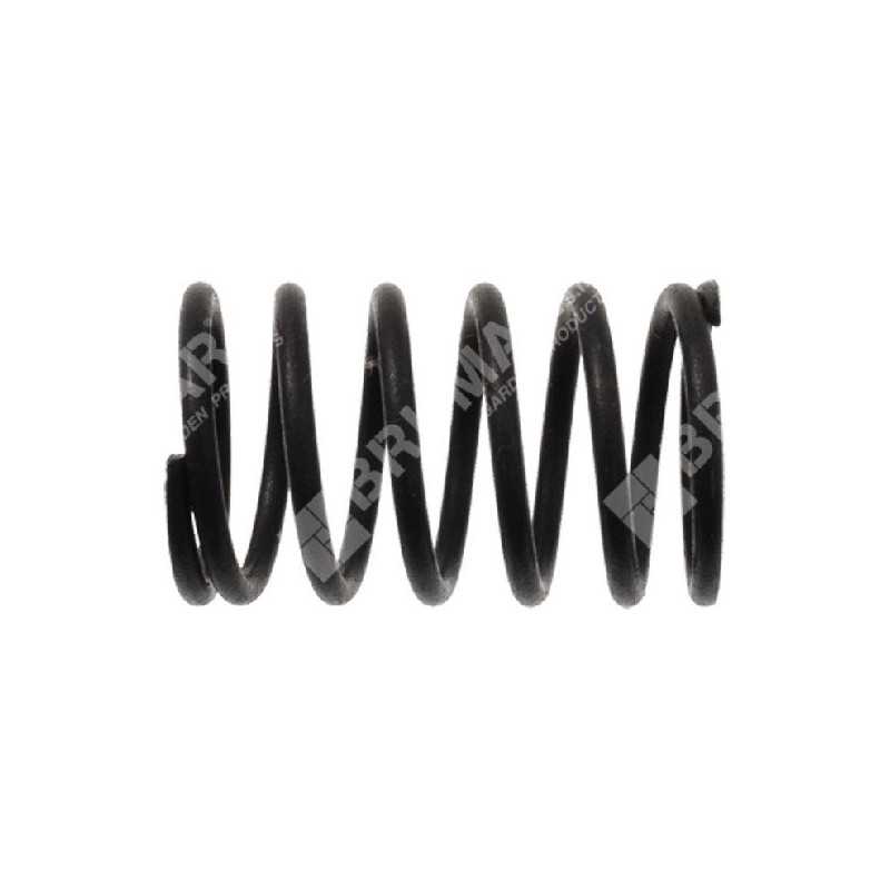 Ventilfeder für DAYE-Motoren - DAYEE - 023560