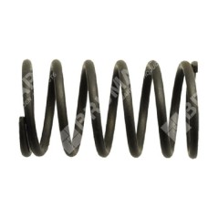 Resorte de válvula para motores DAYE - DAYEE - 023505 | NewgardenParts.com