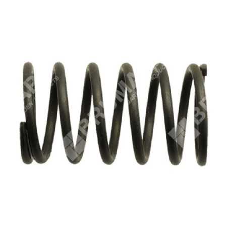 Resorte de válvula para motores DAYE - DAYEE - 023505 | NewgardenParts.com