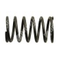 Molla valvole per motori DAYE - DAYEE Compatibile - 023505