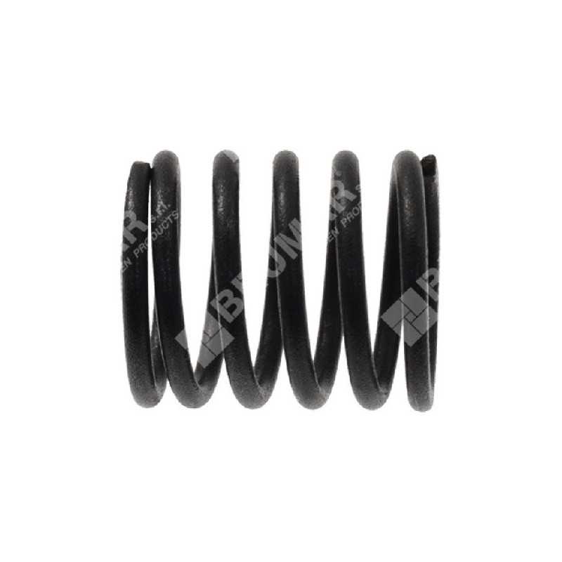 Valve spring for DAYE engines - DAYEE - 037874