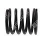 Valve spring for DAYE engines - DAYEE - 037874