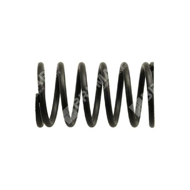 Ventilfeder für DAYE-Motoren - DAYEE - 037946 Ventilfeder für DAYE-Motoren - DAYEE - 037946