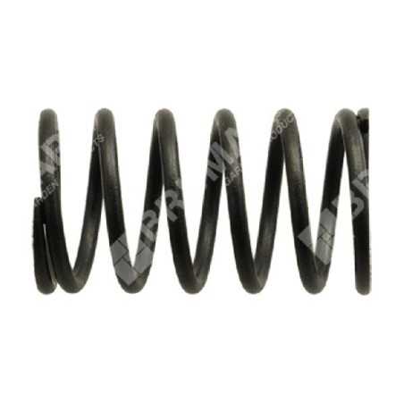 Ressort de soupape pour moteurs DAYE - DAYEE - 037946 | NewgardenParts.com