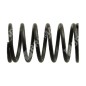 Ventilfeder für DAYE-Motoren - DAYEE - 037946 Ventilfeder für DAYE-Motoren - DAYEE - 037946