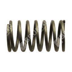 Valve spring for DAYE engines - DAYEE - 023441