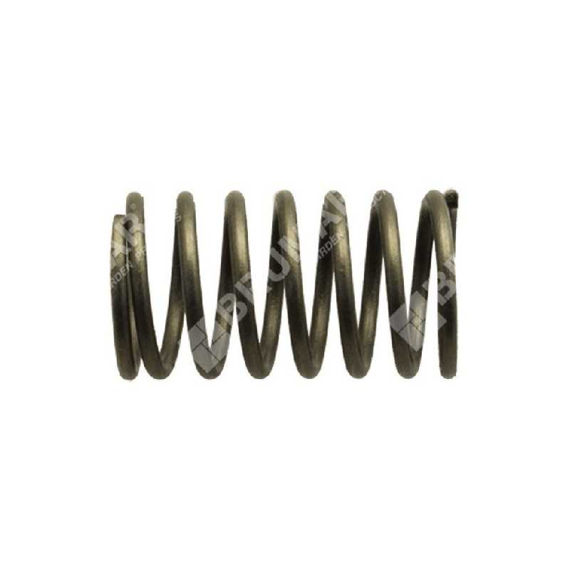 Molla valvole per motori DAYE - DAYEE Compatibile - 023441