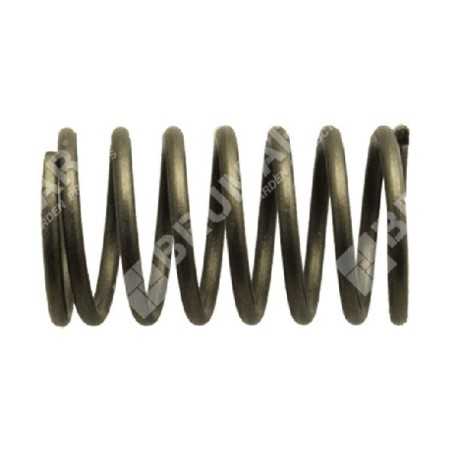 Muelle de válvula para motores DAYE - DAYEE - 023441 | NewgardenParts.com