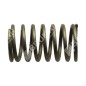 Valve spring for DAYE engines - DAYEE - 023441