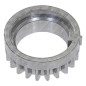 Ingranaggio albero motore per motori e rasaerba DUCAR 479901 Compatibile - 055559