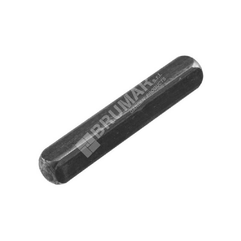 DAYE Lawnmower Key - DAYEE DY0701.31 Compatible - 027811