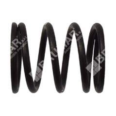 Valve spring for DUCAR motor pumps - 049582 | NewgardenParts.com