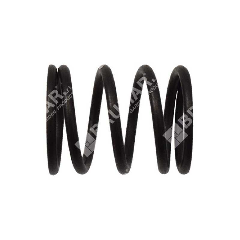 Valve spring for DUCAR motor pumps - 049582