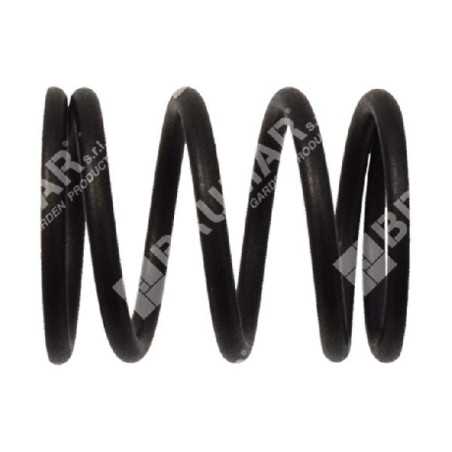 Valve spring for DUCAR motor pumps - 049582 | NewgardenParts.com
