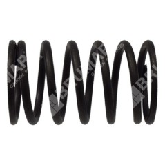 Valve spring for LONCIN engines - 049045 | NewgardenParts.com