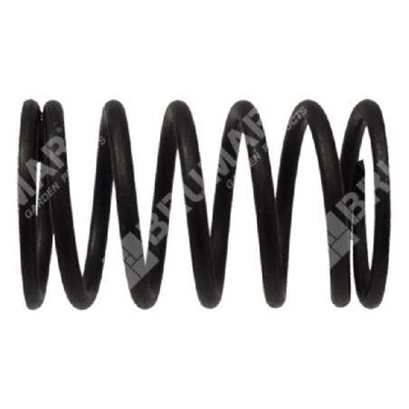 Valve spring for LONCIN engines - 049045 | NewgardenParts.com