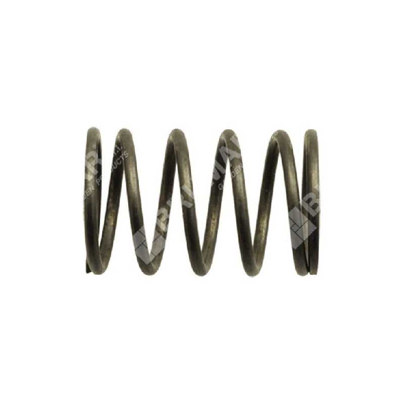 Valve spring for ATTILA wheeled brushcutters - 038693