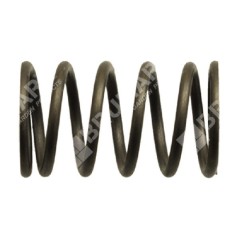 Valve spring for DUCAR motor pumps - 038571