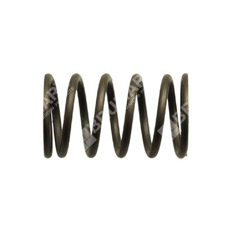 Valve spring for DUCAR motor pumps - 038571