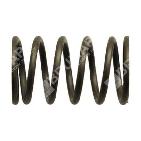 Valve spring for DUCAR motor pumps - 038571 | NewgardenParts.com