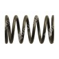 Ressort de soupape pour motopompes DUCAR - 038571