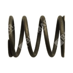 Resorte de válvula para motogeneradores DUCAR - 038481 | NewgardenParts.com