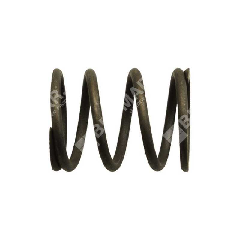 Resorte de válvula para motogeneradores DUCAR - 038481