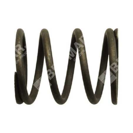 Valve spring for DUCAR motor generators - 038481 | NewgardenParts.com