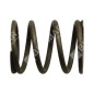 Valve spring for DUCAR motor generators - 038481