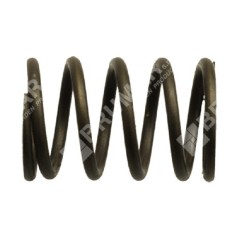 Valve spring for DUCAR motor generators - 038443 | NewgardenParts.com