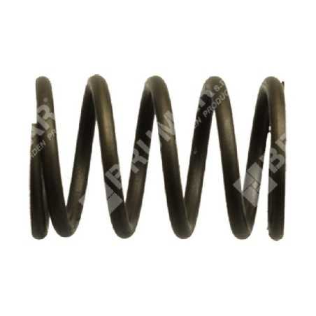Valve spring for DUCAR motor generators - 038443 | NewgardenParts.com