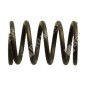 Valve spring for DUCAR motor generators - 038443
