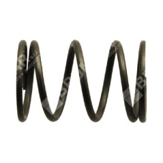 Valve spring for DUCAR motor pumps and motor generators - 038091