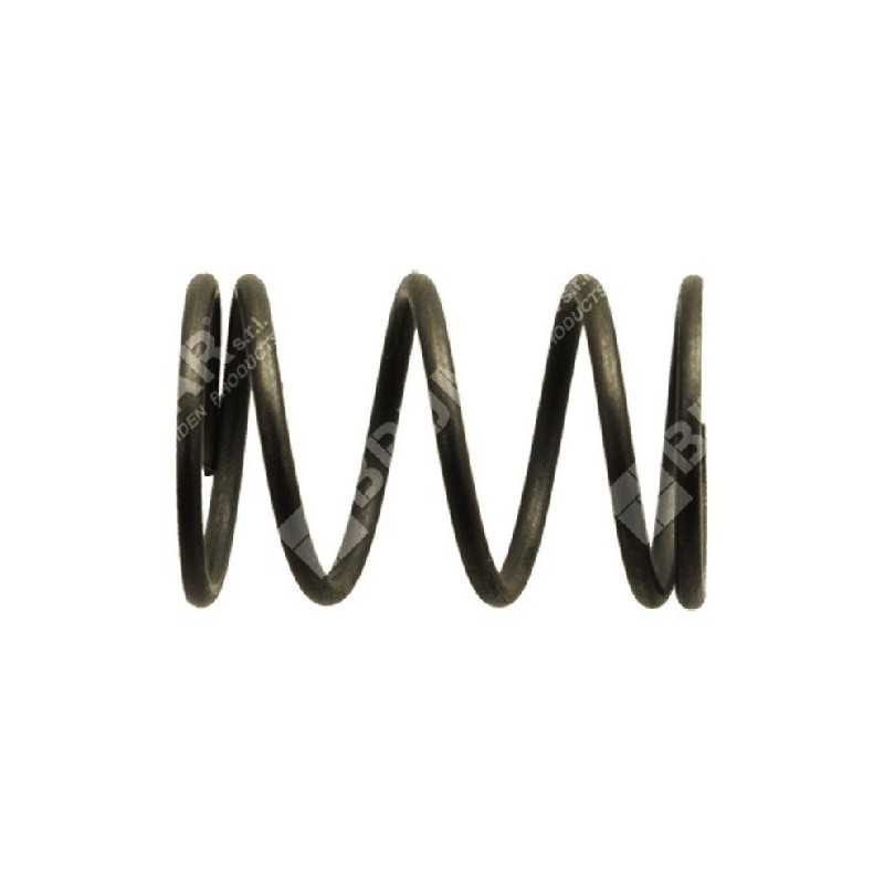 Ressort de soupape pour motopompes et motogénérateurs DUCAR - 038091